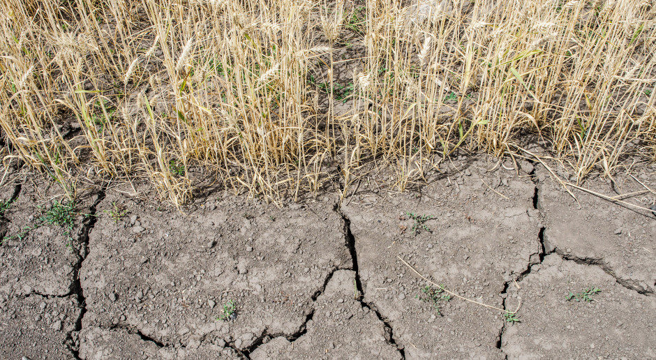 Fot. Shutterstock Podlaskie: Wojewoda apeluje o szybszą pracę komisji szacujących straty