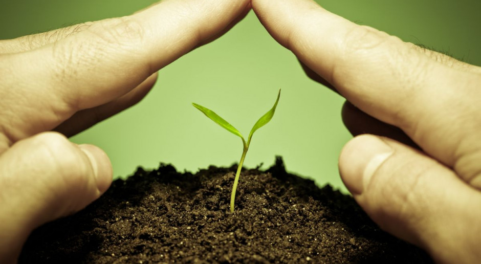 fot. Shutterstock BASF finalizuje transakcję zakupu aktywów od Bayer