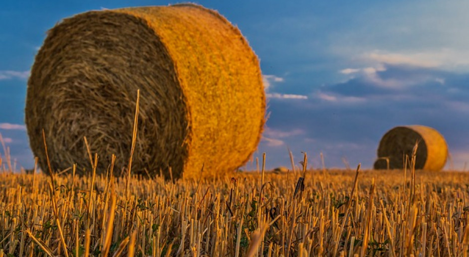 Fot.pixabay.com Rosja: Do 7 sierpnia zebrano 56,9 mln ton zbóż i bobowatych