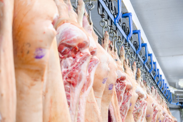 Chiński rząd próbuje stymulować rynek wieprzowiny