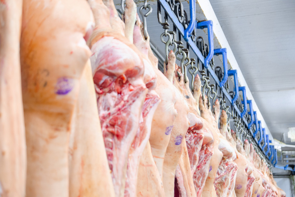 AMI: niemiecki eksport wieprzowiny  w pierwszych 4 miesiącach roku spadł o 11 proc. Fot . Schutterstock