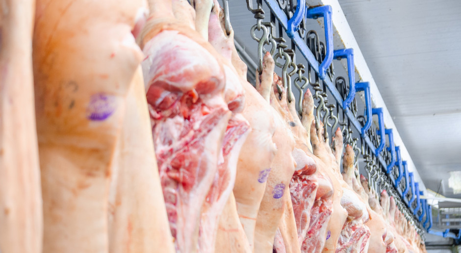 Wzrósł eksport wieprzowiny z UE