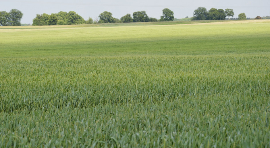 Nowa substancja czynna Inatreq Active od Corteva Agriscience; Fot. Katarzyna Szulc Nowość wśród fungicydów – nowa substancja czynna Inatreq Active
