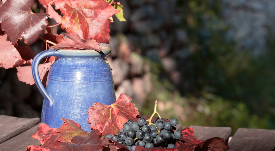 Deklaracje o rynku wina do końca sierpnia; Fot. pixabay Deklaracje o rynku wina do końca sierpnia