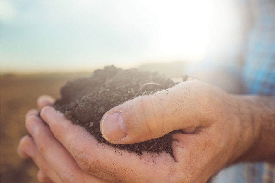 Kodeks Dobrej Praktyki Rolniczej zakłada przeprowadzenie badań gleby raz na cztery lataFot. Shutterstock