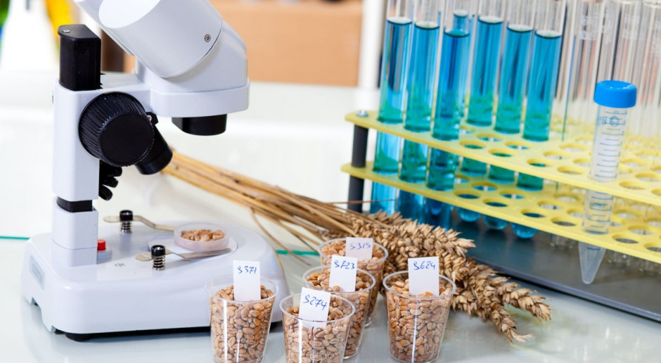 Fot. Shutterstock Wrocławscy naukowcy pracują nad alternatywną dla GMO metodą modyfikacji roślin