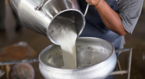 Ziaja: Rynek mleka czeka trudny okres, ale jest nadzieja na poprawę