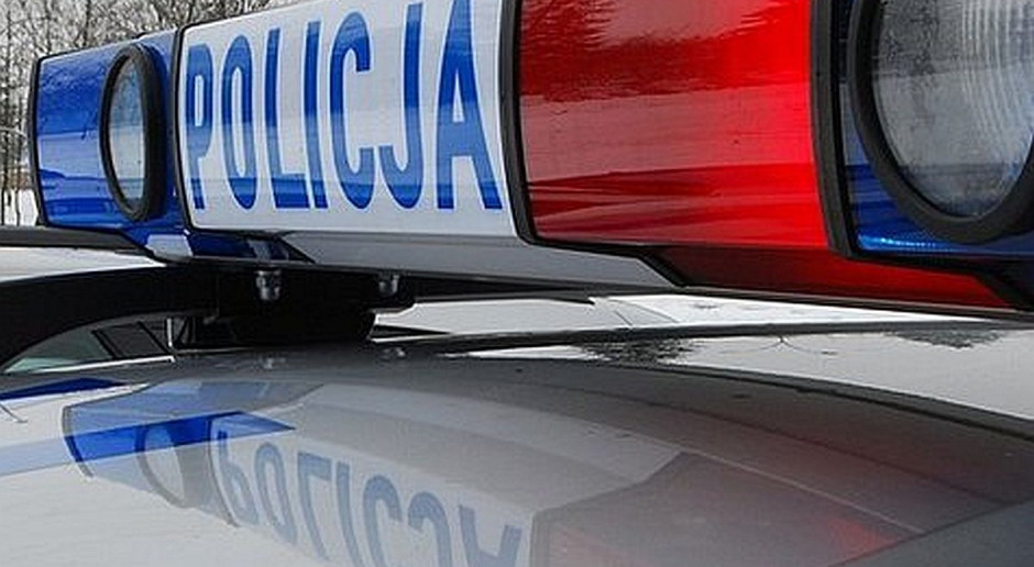 Do wypadku z udziałem krowy doszło w gminie Hanna pod Włodawą; Fot. Policja Motorowerzysta zderzył się z krową