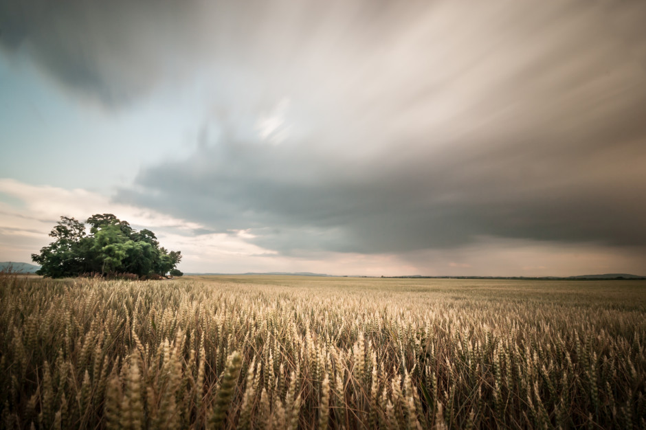 W środę w kraju zachmurzenie umiarkowane, okresami duże. Miejscami przelotne opady deszczu oraz burze, również z gradem, fot. Shutterstock