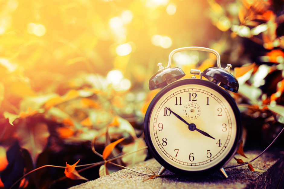 Kalendarzowa jesień zaczyna się zawsze 23 września, fot. Shutterstock