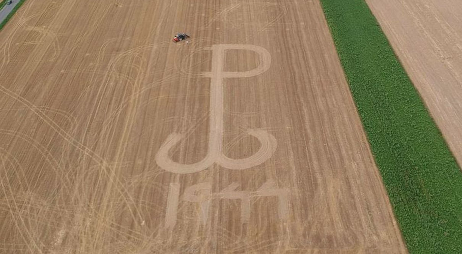 Imponujący obraz powstał na polu w Kaszewach Tarnowskich, w gminie Krzyżanów. foto: Wirtualna Polska Rolnik uczcił pamięć bohaterów Powstania Warszawskiego