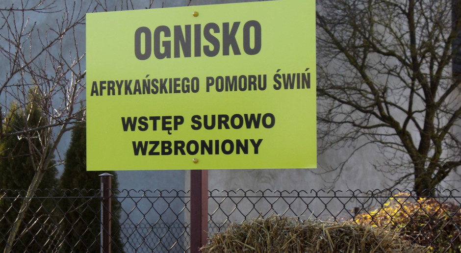 Ardanowski: od października nie ma w polskich gospodarstwach żadnego przypadku ASF