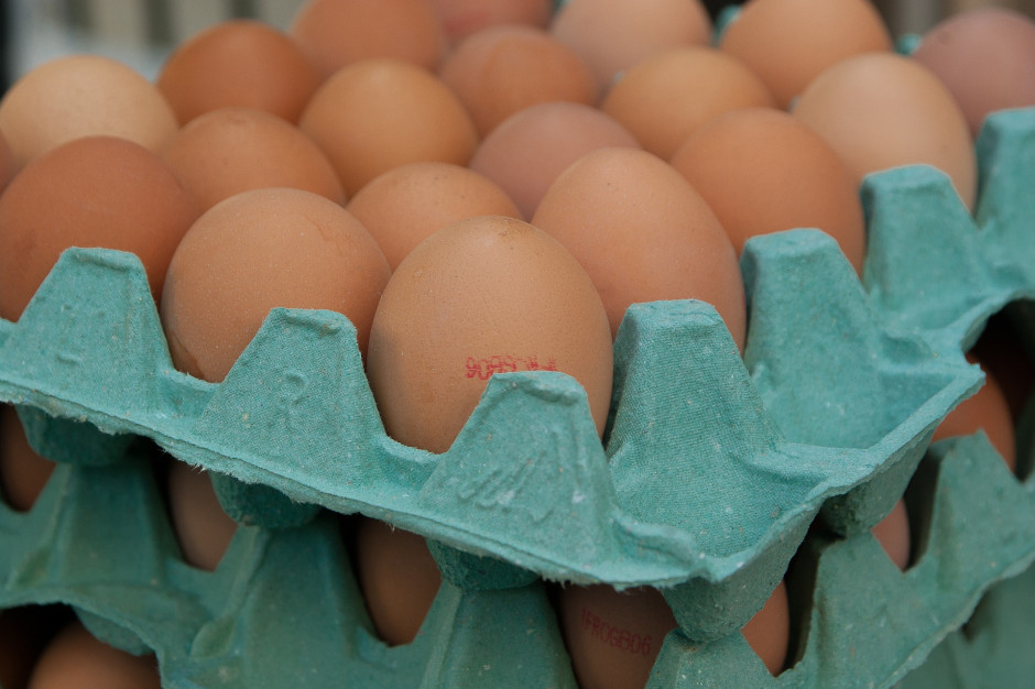 W 2020 r. Przychody producentów z eksportu jaj wyniosły ok. 203 mln fot. Pixabay