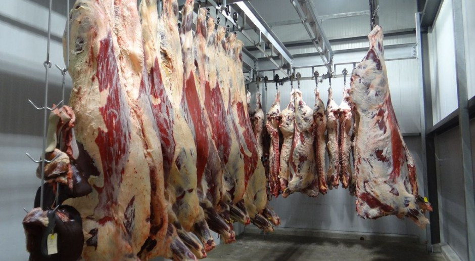 Fot.pixabay.com UE: Państwa członkowskie zgadzają się na kwotowany import amerykańskiej wołowiny