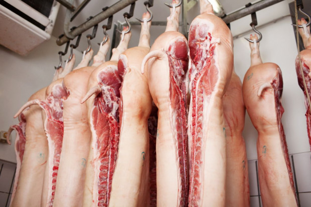 Rosja spodziewa się dalszego wzrostu produkcji mięsa i mleka