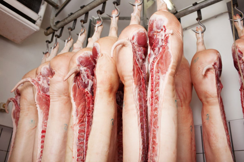 Dynamicznie rośnie chiński import wieprzowiny; Fot Shutterstock