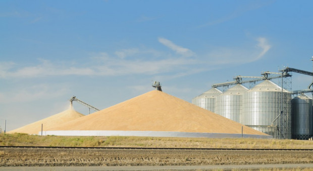 Rosja obniżyła prognozę eksportu zbóż