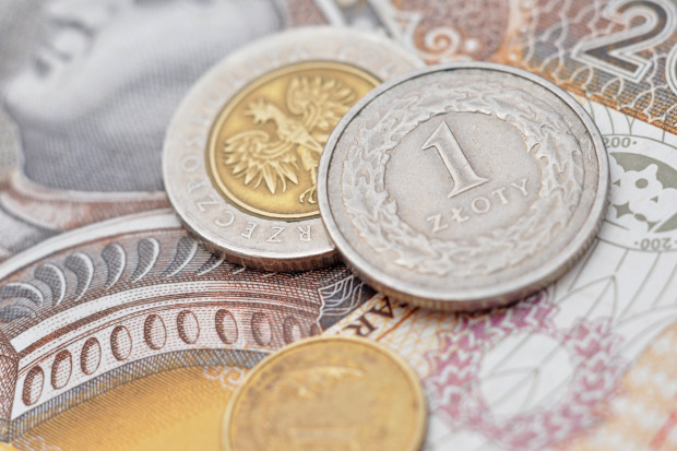 Obecnie do Copa-Cogeca należy pięć polskich organizacji, których przynależność jest finansowana z budżetu państwa, fot. Shutterstock Komisja rolnictwa nie poparła poprawek ws. finansowania organizacji w Copa-Cogeca
