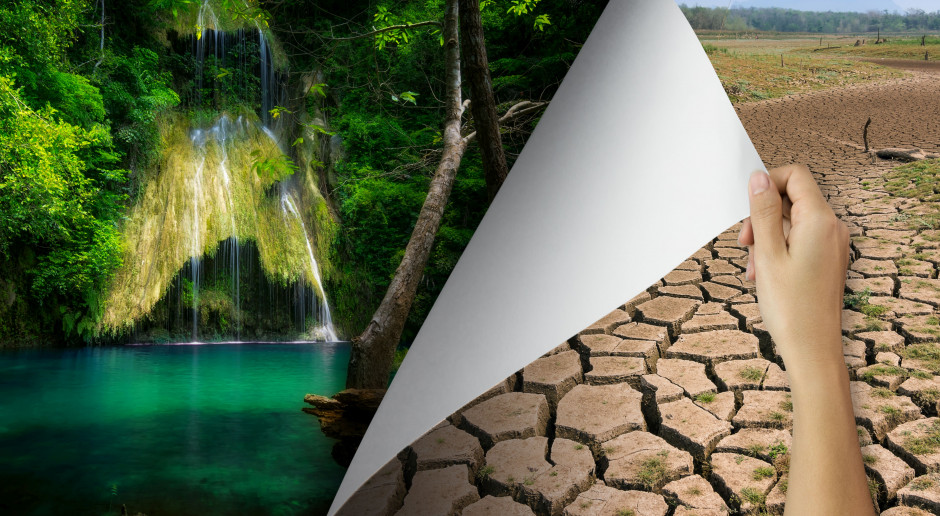 fot. Shutterstock 100 procent strat, żadnej pomocy