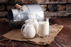 Cena mleka surowego w skupie najniższa od roku