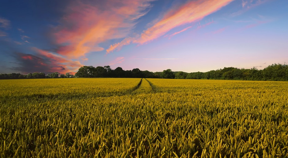 fot. Pixabay Kiedy KOWR przedłuża dzierżawę?