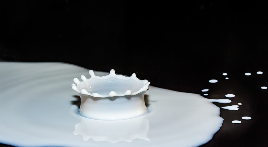 fot. Pixabay Czy spółdzielnie mleczarskie nie będą upadać?