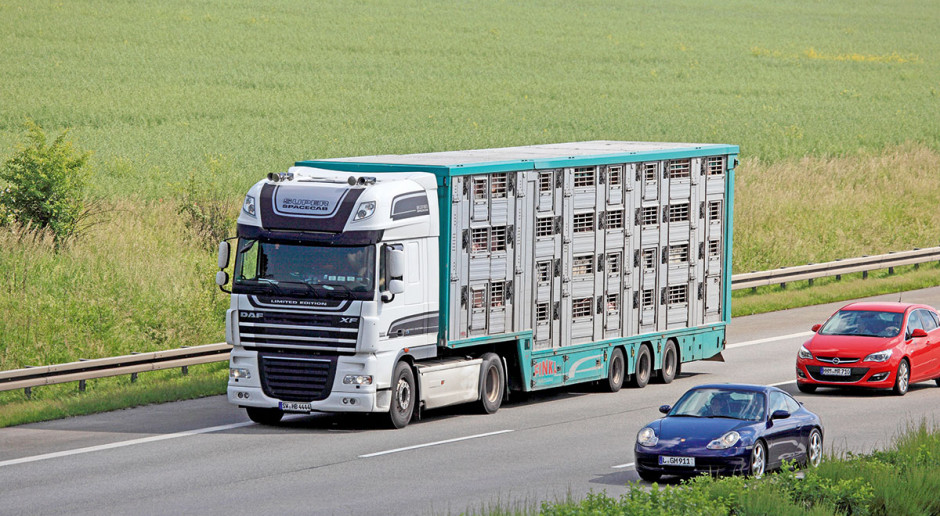 Bieżący rok jest z pewnością trudny dla producentów wieprzowiny, o czym mogą świadczyć ceny, jakie obowiązywały w kolejnych tygodniach roku Co wpływa na opłacalność tuczu?