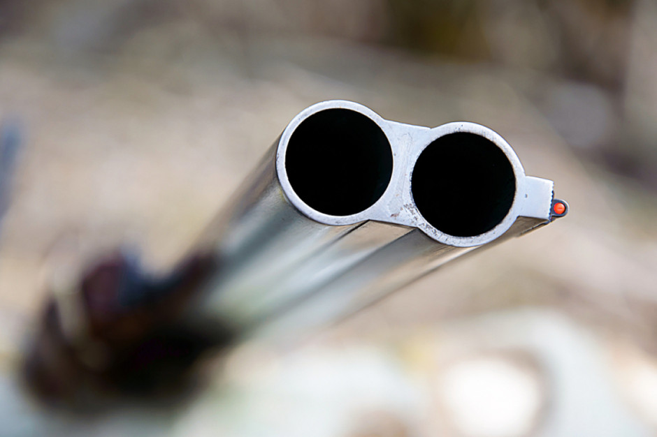 Z ustaleń wynika, że strzał padł z tzw. kniejówki, czyli broni kombinowanej stanowiącej połączenie sztucera i strzelby, zdjęcie ilustracyjne: Shutterstock