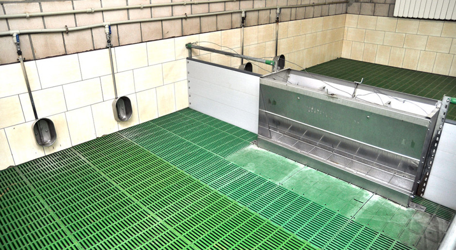 W ostatnich dekadach kładziony jest coraz większy nacisk na higienę produkcji żywca wieprzowego. Wynika to przede wszystkim ze zmian zachodzących w tej gałęzi produkcji Dezynfekcja idealna chlewni
