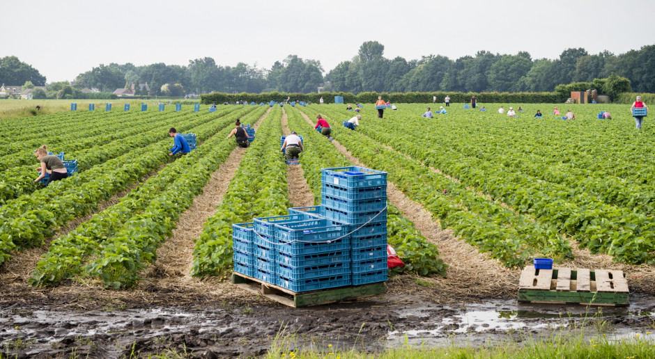 Pod koniec września Portugalia przejęła 20 pasażerów ze statku Aquarius, który w czerwcu nie został przyjęty przez Włochy i Maltę; Fot. Peter Braakmann / Shutterstock.com Portugalia: Rząd skieruje uchodźców do pracy w rolnictwie i turystyce