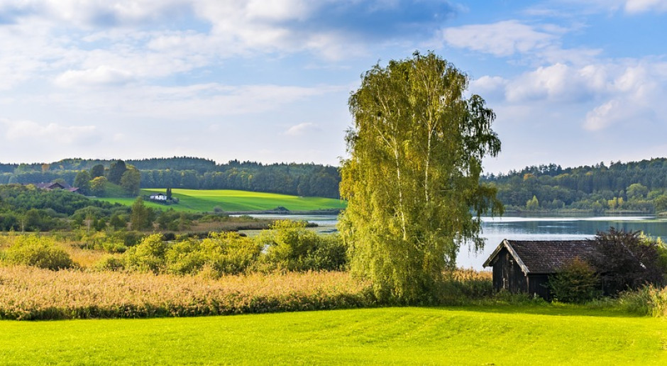 fot. Pixabay Milion złotych kar za nieprzestrzeganie wymogów na obszarach OSN