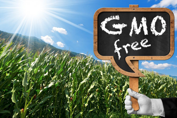 Prezydent podpisał ustawę wprowadzającą oznakowanie "bez GMO"