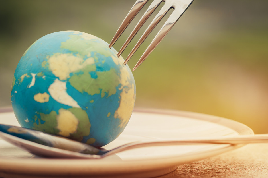 DRV przeprowadziło analizę sytuacji związanej z zaopatrzeniem w żywność; Fot. Shutterstock