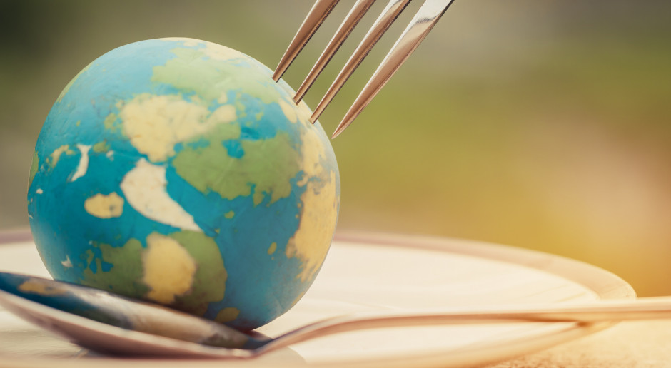 Fot. Shutterstock Ziemia wykarmi 10 mld ludzi – ale tylko z naszą pomocą