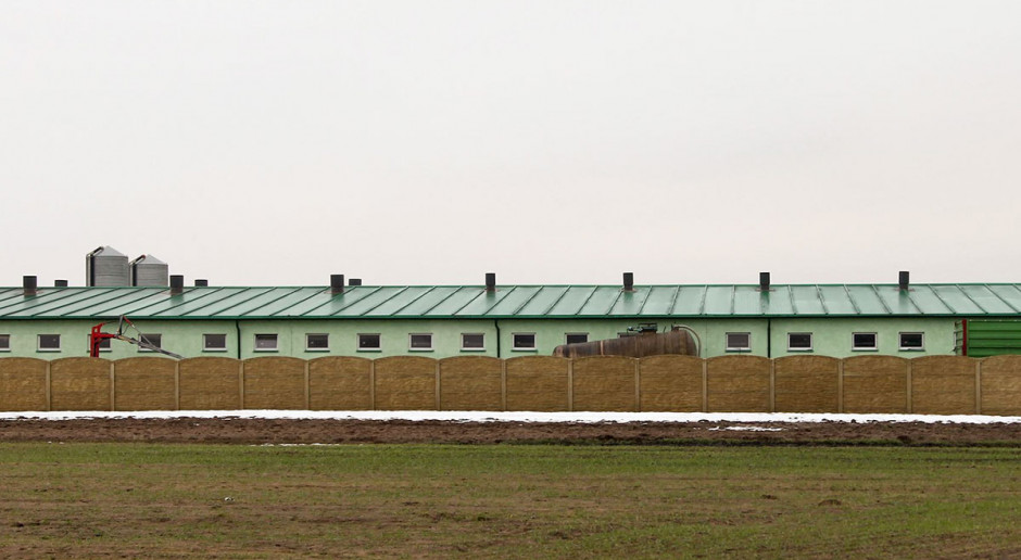 Zdawać by się mogło, że postępy wirusa ASF notowane od początku br. na terytorium naszego kraju sprawić winny, że inne tematy dotyczące branży, w tym spór dotyczący wad i zalet tzw. tuczu kontraktowego, zejdą na plan dalszyt Tucz kontraktowy - proponowany czy forsowany?