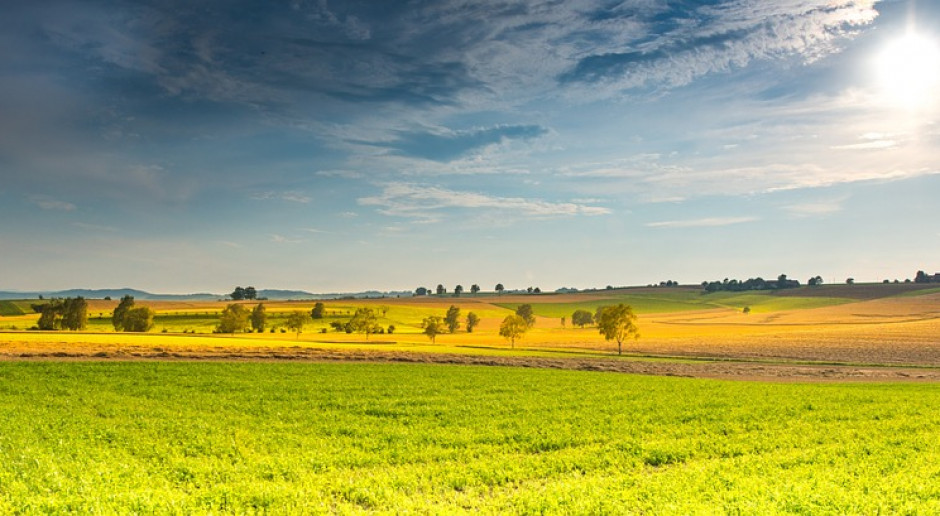 fot. Pixabay Pełnomocnik rządu do kształtowania ustroju rolnego niepotrzebny?