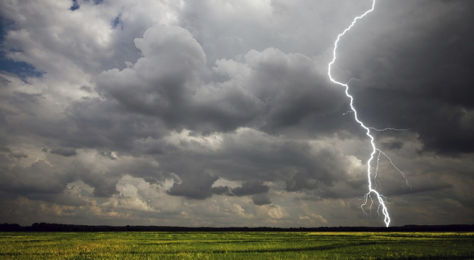 Fot.pixabay.com Wysokie straty włoskich rolników