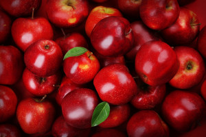 Polskie jabłka najdroższe na rynku unijnym