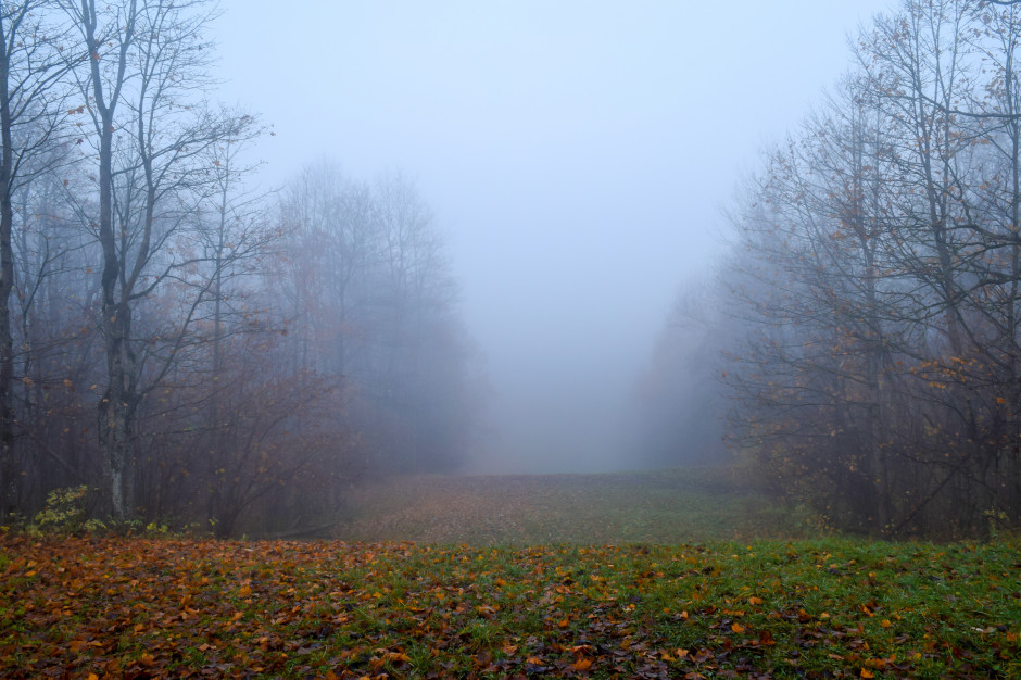 Ostrzeżenie pierwszego stopnia dotyczące mgły zostało wydane dla całego województwa pomorskiego i zachodniopomorskiego, fot. Shutterstock