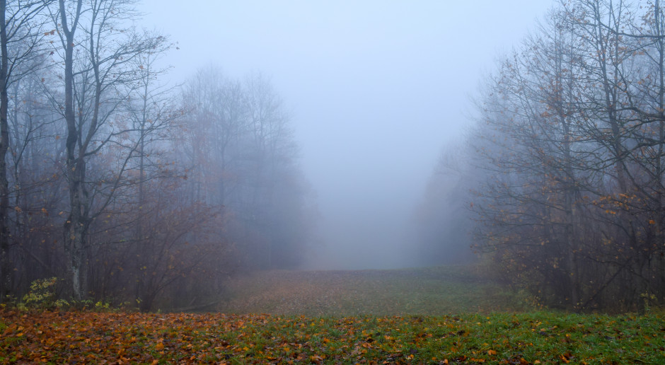 fot. shutterstock IMGW ostrzega przed gęstymi mgłami na Lubelszczyźnie i Mazowszu