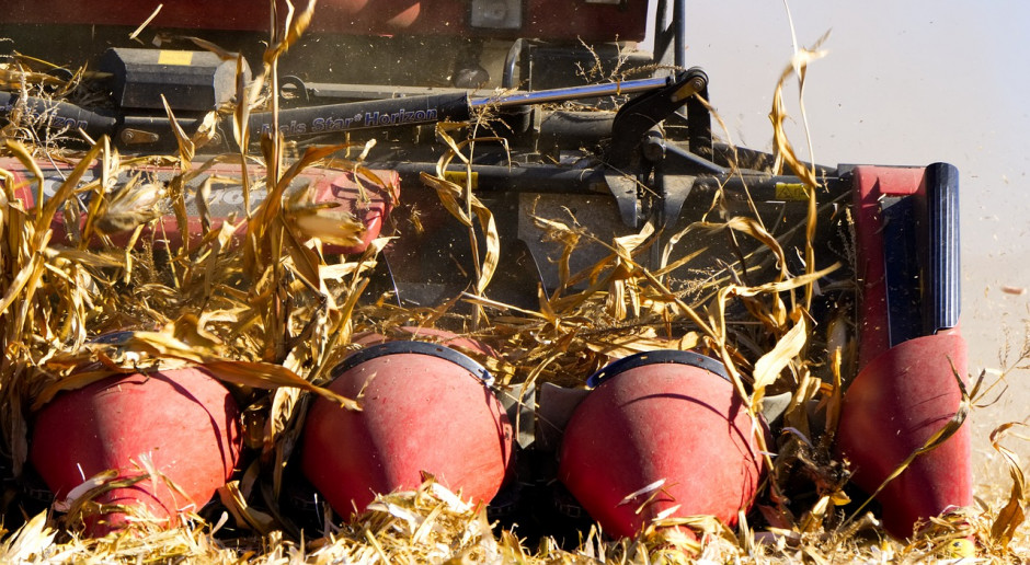 Fot. Shuttestock Rosja: Do 6 listopada zebrano 114,2 mln ton zboża