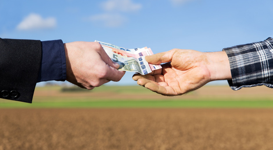 fot. Shutterstock Nie ma szans na zrównanie dopłat bezpośrednich także w kolejnym unijnym okresie budżetowym?