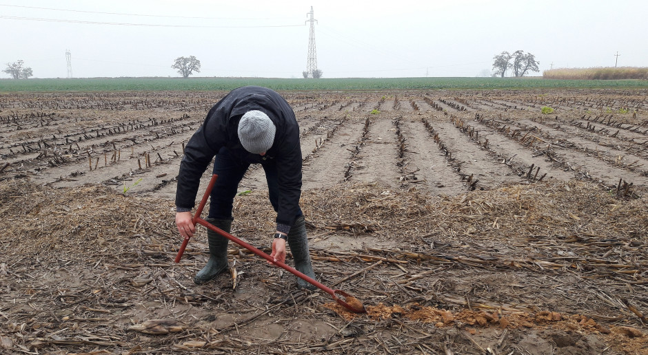 Fot. NaturalCrop Poland Jak poprawić opłacalność nawożenia?