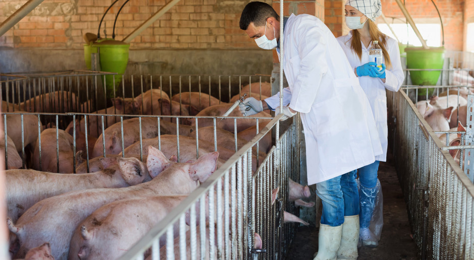 Fot. Shutterstock Ardanowski: Inspekcja Weterynaryjna odgrywa istotną rolę w rozwoju rolnictwa