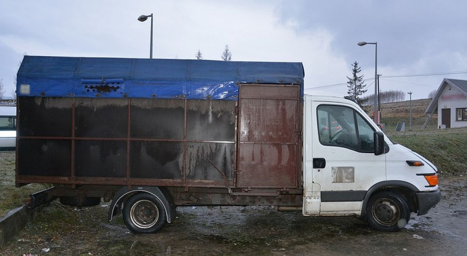 Ciężarówka Rumunów trafiła na policyjny parking foto: Policja Rumuni odpowiedzą za znęcanie się nad końmi
