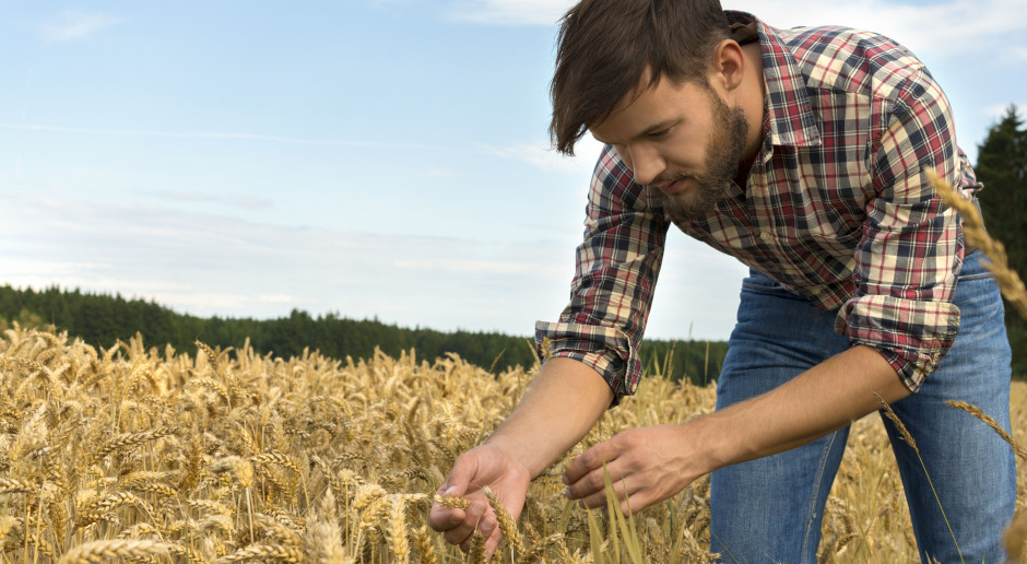 fot. Shutterstock Premia dla młodych z PROW – 150 tys. zł, ale nie na wszystko
