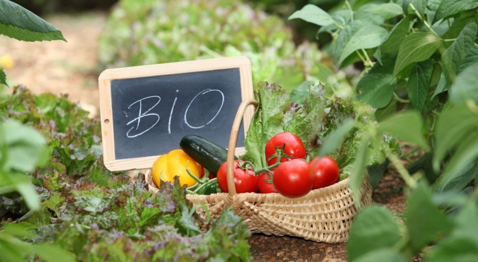 fot. Shutterstock Ekologiczna żywność gorsza dla klimatu niż ta produkowana konwencjonalnie