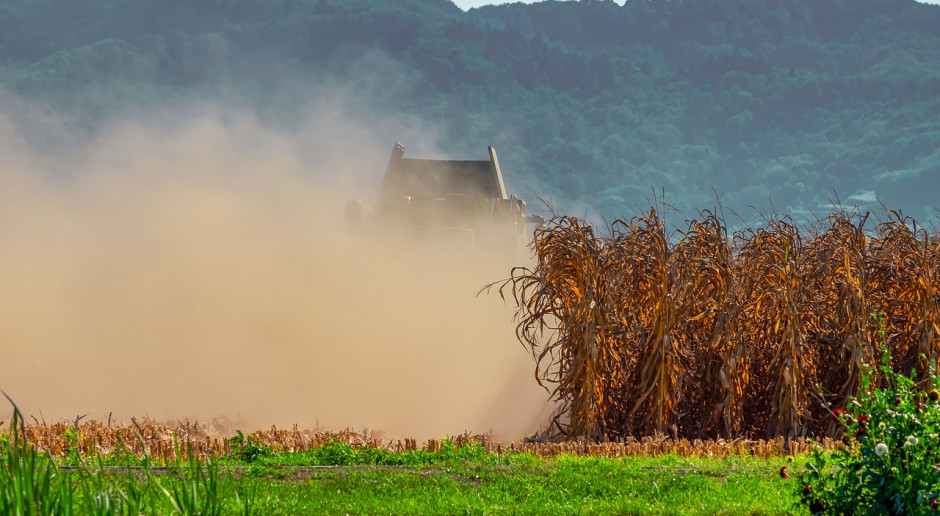 Fot.pixabay.com Ukraina: Podsumowanie zbiorów w 2018 r.
