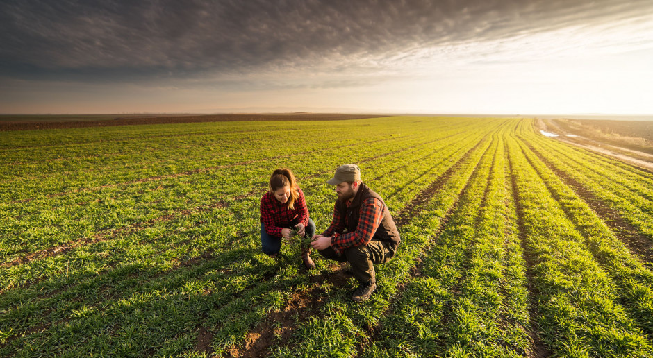 fot. Shutterstock Wzrost cen prądu zahamowany – czy nawozy potanieją?