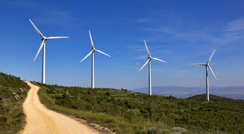 fot. Shutterstock Po aukcji OZE na rynku farm wiatrowych pojawią się nowi inwestorzy